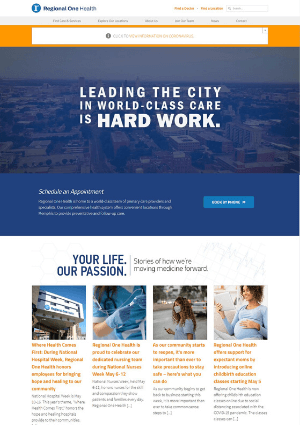 health care website example 2